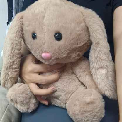 Bunny Sleeping Companion Sound